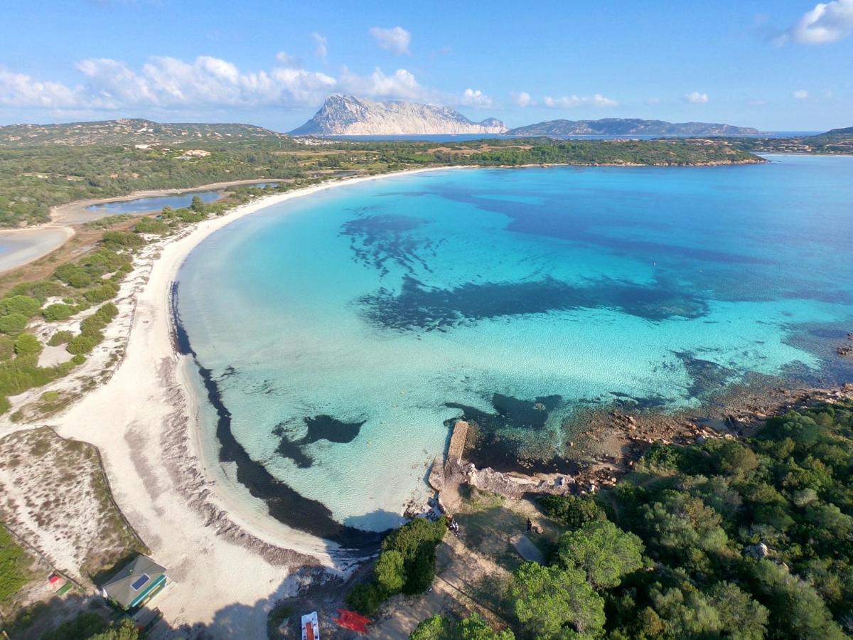 Iss Travel, Gli Asfodeli - Large Apartments With Private Terrace San Teodoro  Extérieur photo