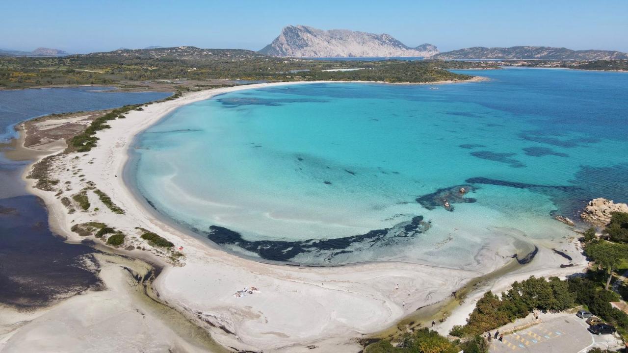 Iss Travel, Gli Asfodeli - Large Apartments With Private Terrace San Teodoro  Extérieur photo